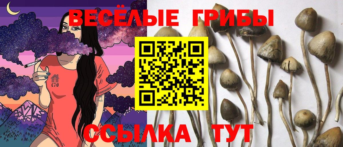 Кинель  Псилоцибиновые грибы мухоморы  Вход с VPN  Галлюциногенные грибы MAGIC MUSHROOMS 